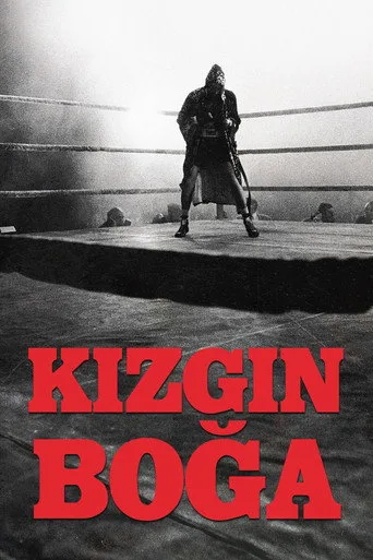 观看Kızgın Boğa Film