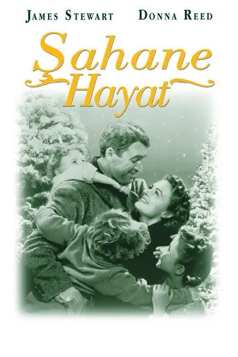 观看Şahane Hayat Film