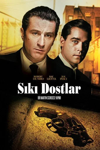 观看Sıkı Dostlar Film