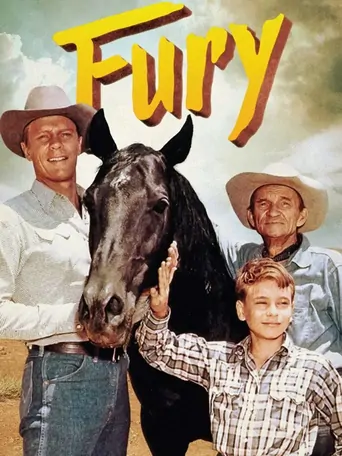 观看Fury Dizi